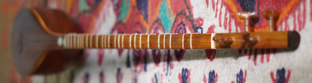 cover- buy and learn setar in English